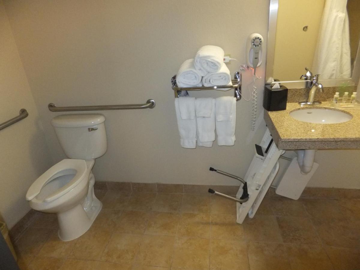 Holiday Inn Mount Prospect-Chicago Rom bilde
