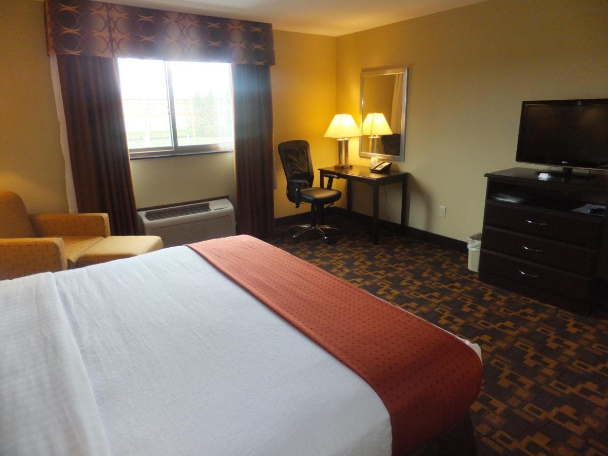 Holiday Inn Mount Prospect-Chicago Rom bilde
